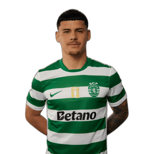 Maxi Araújo Vilches