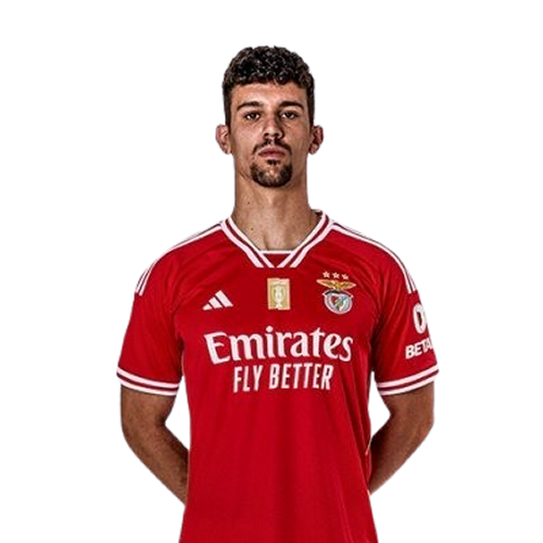 Tomas Araujo